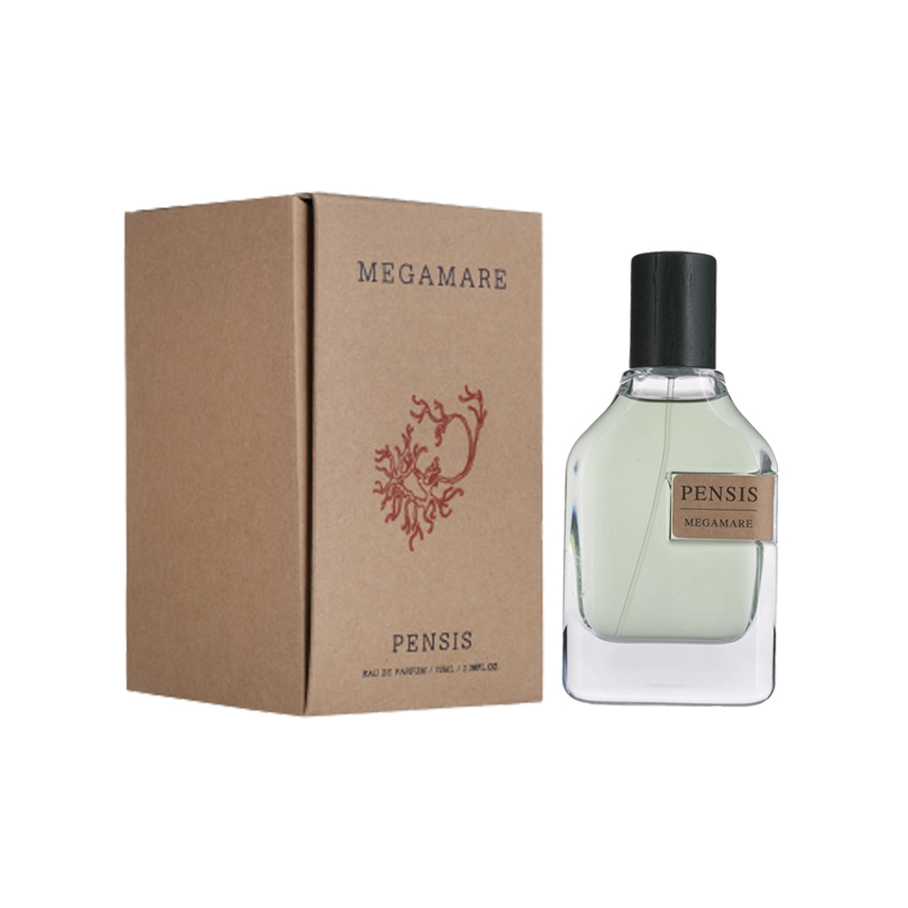 ادوپرفیوم مردانه پنسیس مدل ارتوپاریسی مگامار 70 میل